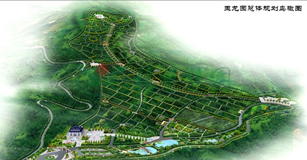 008PG国际(中国区)-官方网站