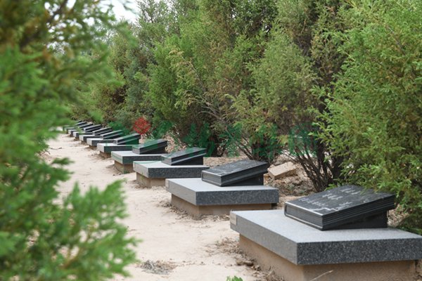 008PG国际(中国区)-官方网站