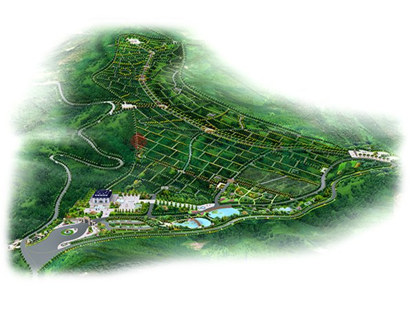 008PG国际(中国区)-官方网站