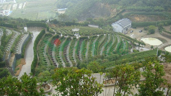 008PG国际(中国区)-官方网站