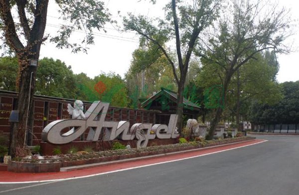 008PG国际(中国区)-官方网站