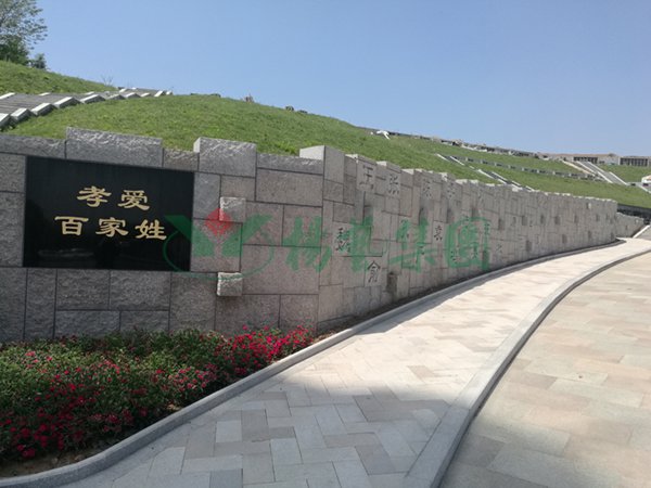 008PG国际(中国区)-官方网站