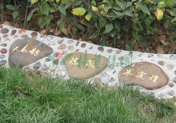 008PG国际(中国区)-官方网站