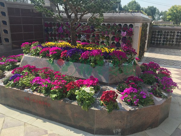 008PG国际(中国区)-官方网站