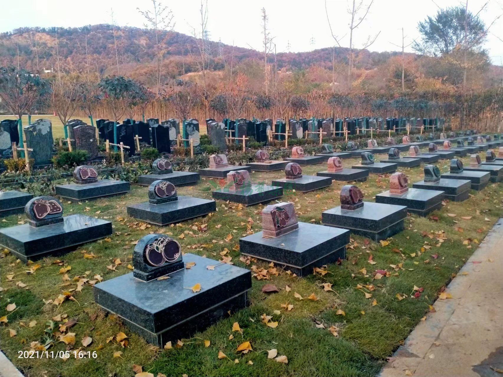 008PG国际(中国区)-官方网站