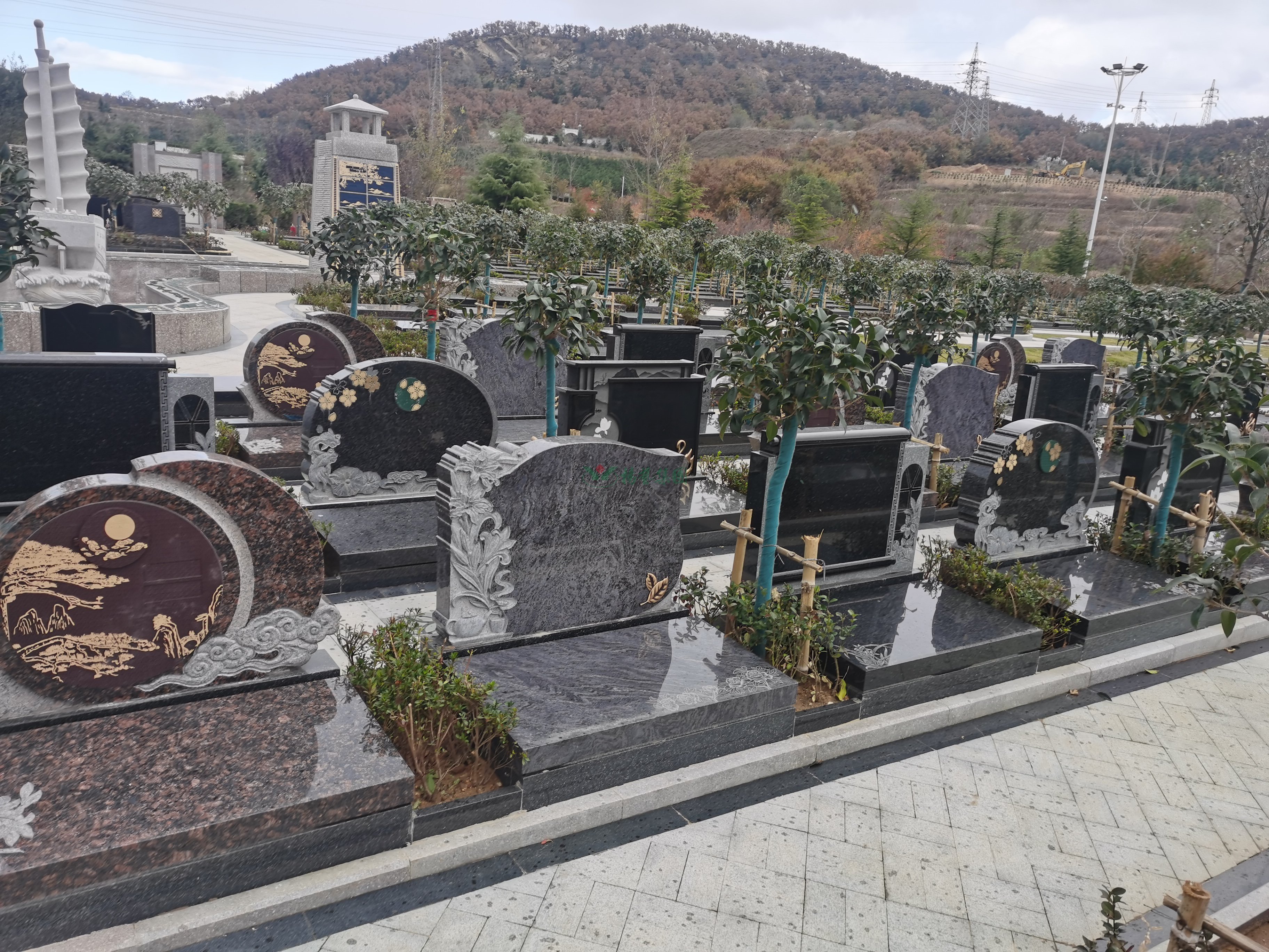 008PG国际(中国区)-官方网站