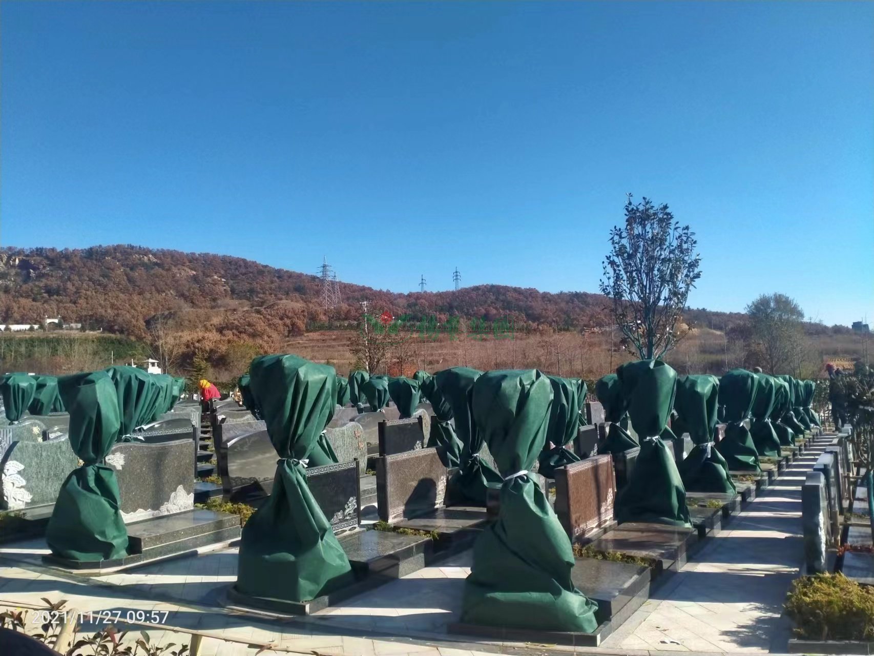 008PG国际(中国区)-官方网站