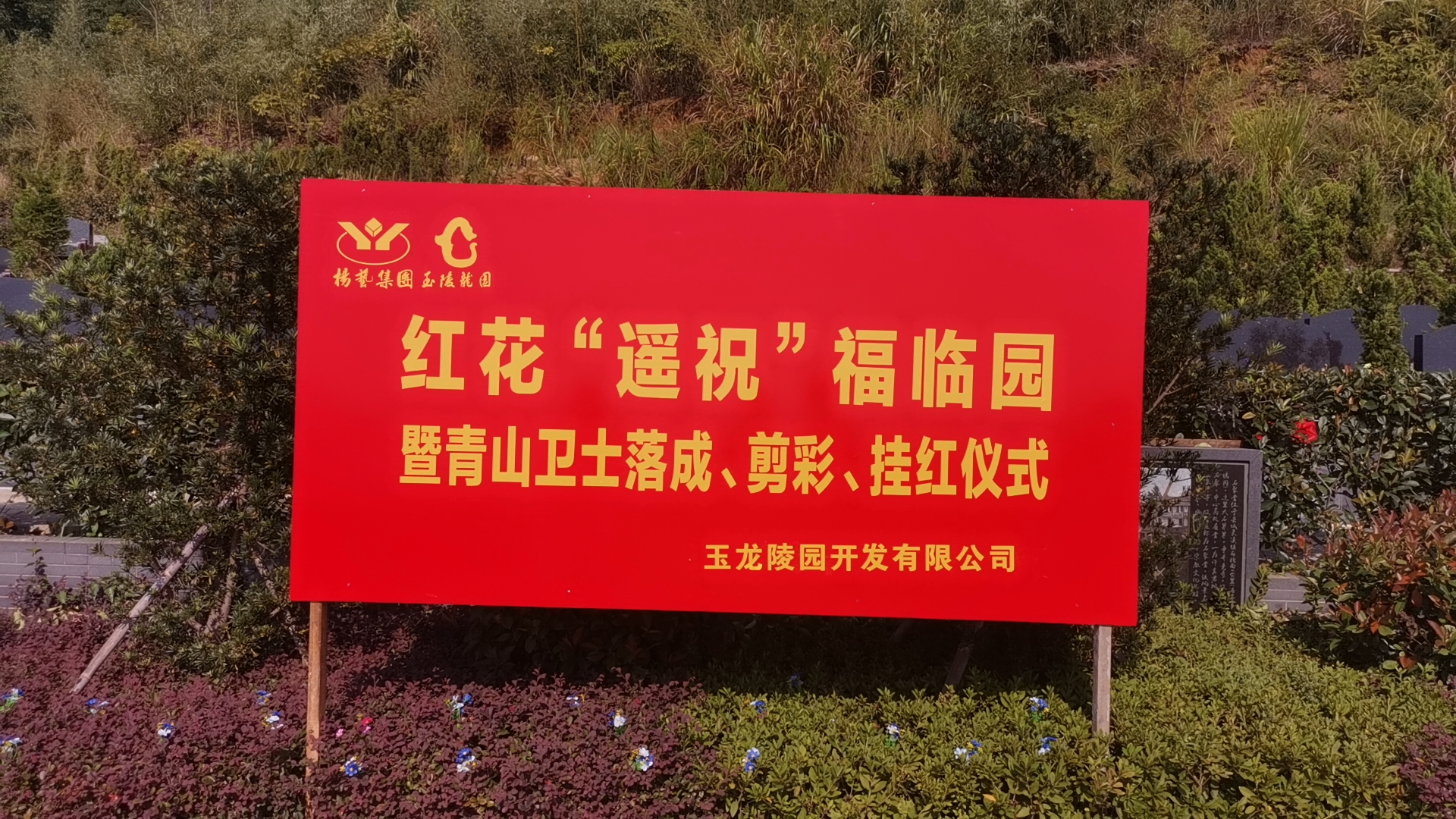 红花传爱意，，，，，，情满玉龙园！