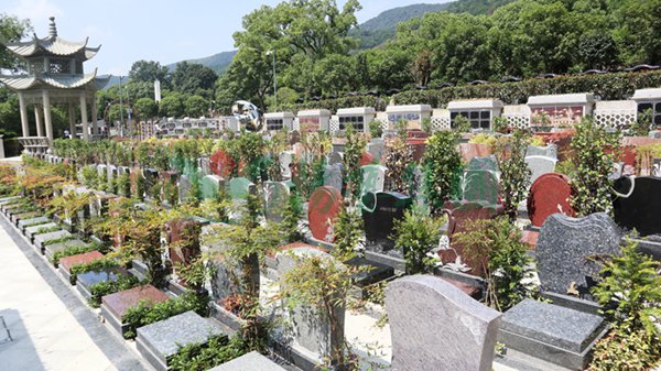 008PG国际(中国区)-官方网站