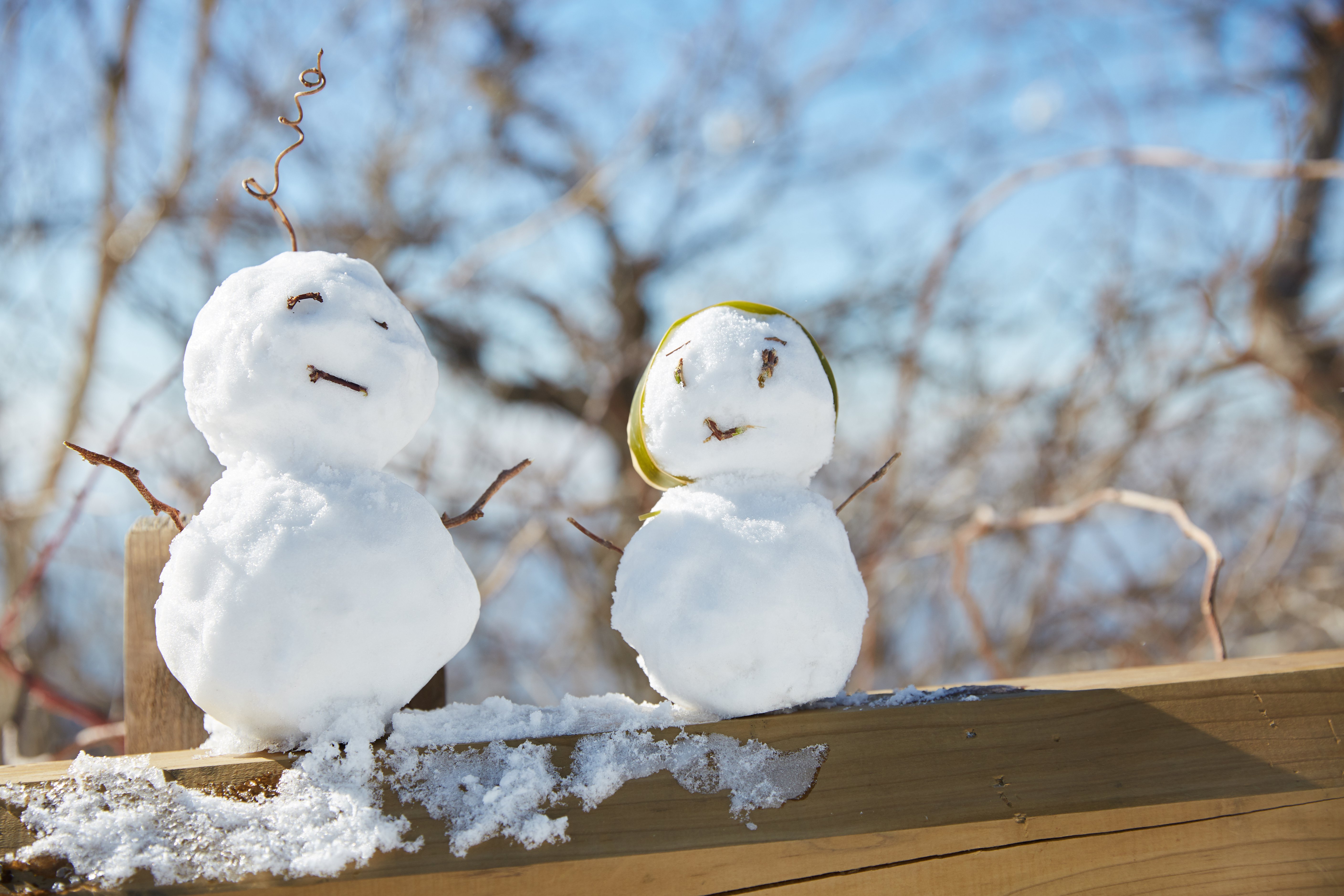 冬至，，暖“杨”相伴 | 008PG国际人全力配合各墓园冬至落葬