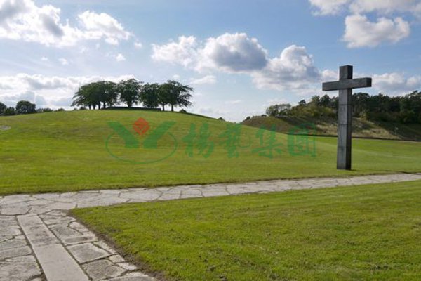 008PG国际(中国区)-官方网站