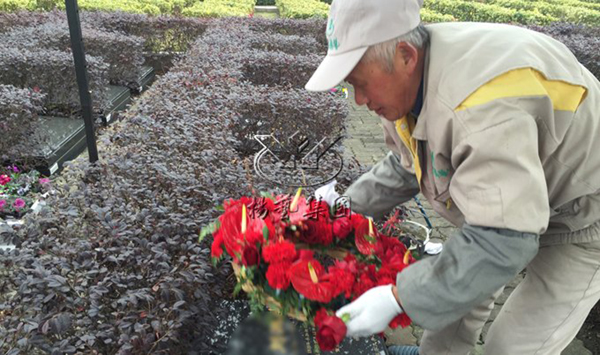 008PG国际(中国区)-官方网站