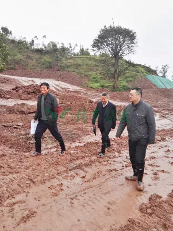 008PG国际(中国区)-官方网站