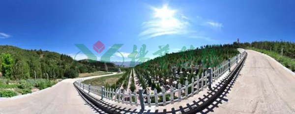 008PG国际(中国区)-官方网站