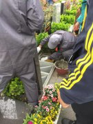 【008PG国际人别样清明】2018年清明落葬事情圆满完成