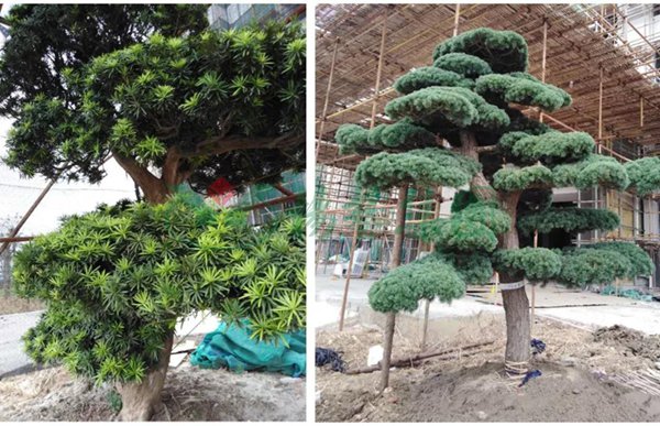 008PG国际(中国区)-官方网站