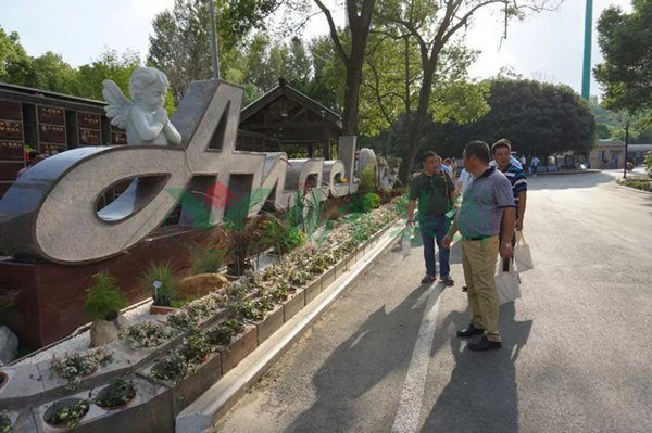 008PG国际(中国区)-官方网站