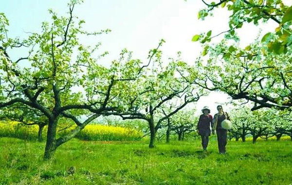 008PG国际(中国区)-官方网站