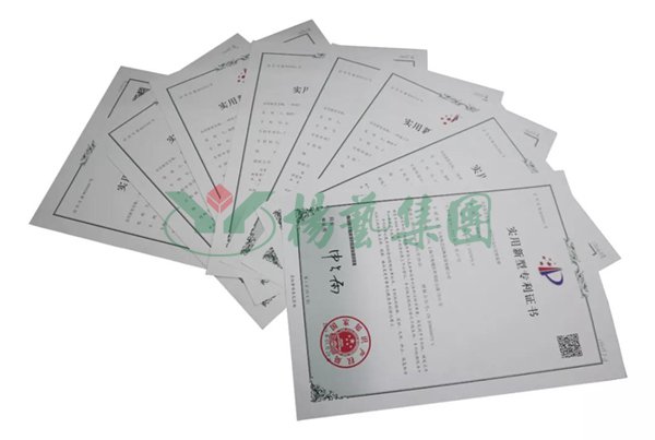 008PG国际(中国区)-官方网站