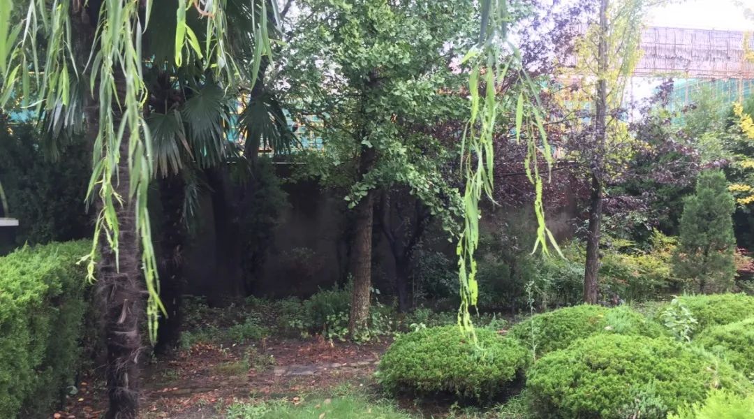 008PG国际(中国区)-官方网站