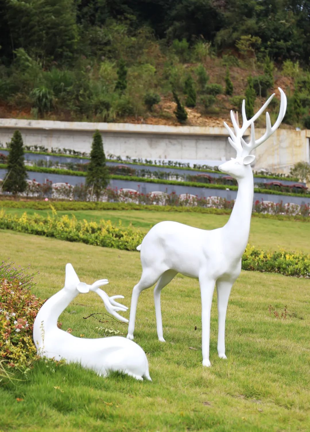 008PG国际(中国区)-官方网站