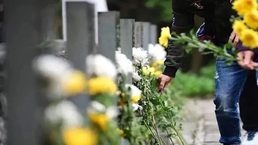 008PG国际(中国区)-官方网站