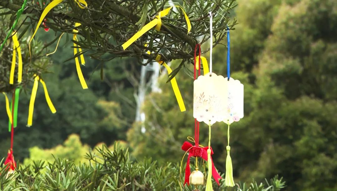 008PG国际(中国区)-官方网站