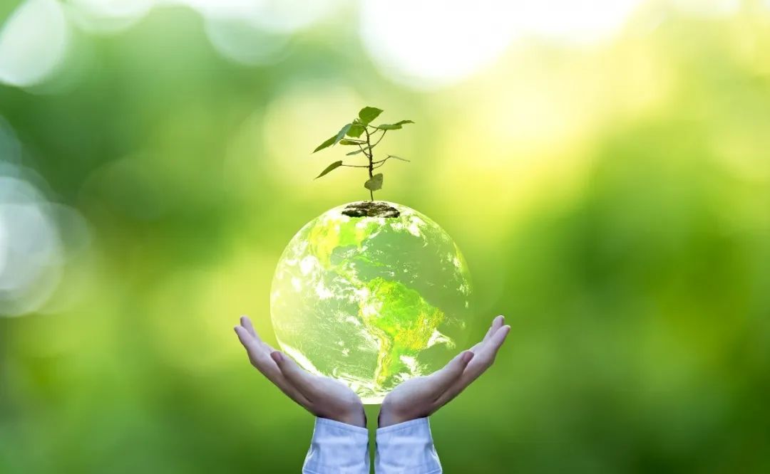 008PG国际(中国区)-官方网站