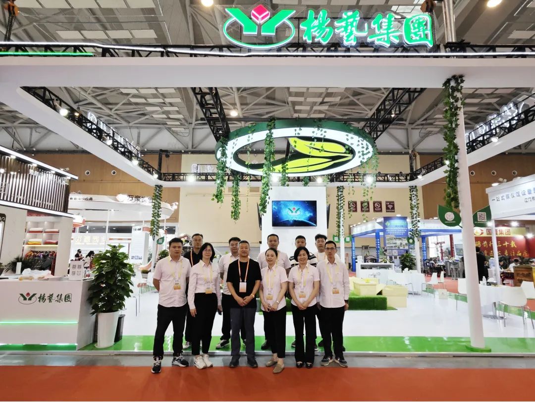 008PG国际(中国区)-官方网站