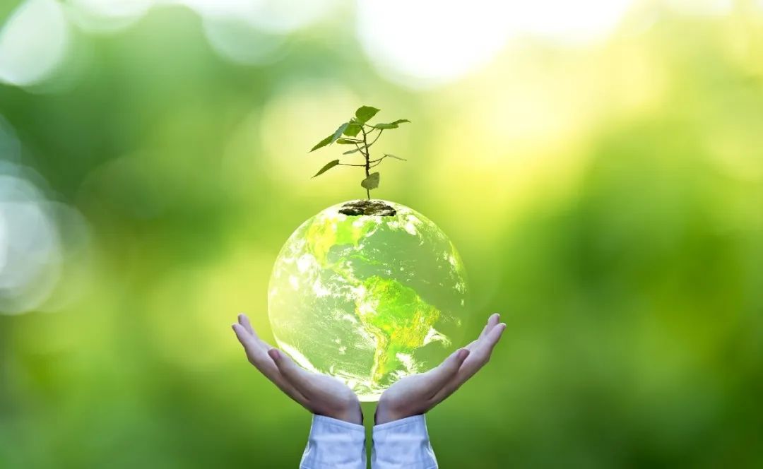 008PG国际(中国区)-官方网站