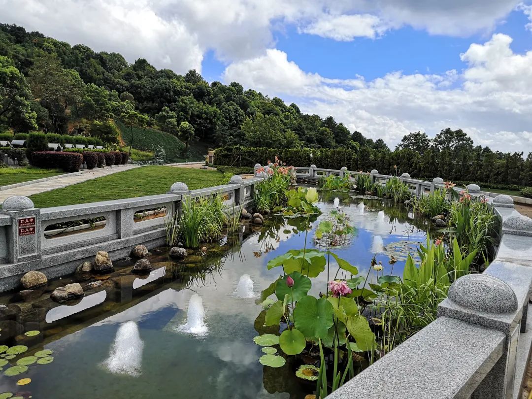 008PG国际(中国区)-官方网站