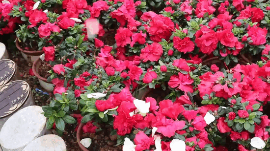 008PG国际(中国区)-官方网站