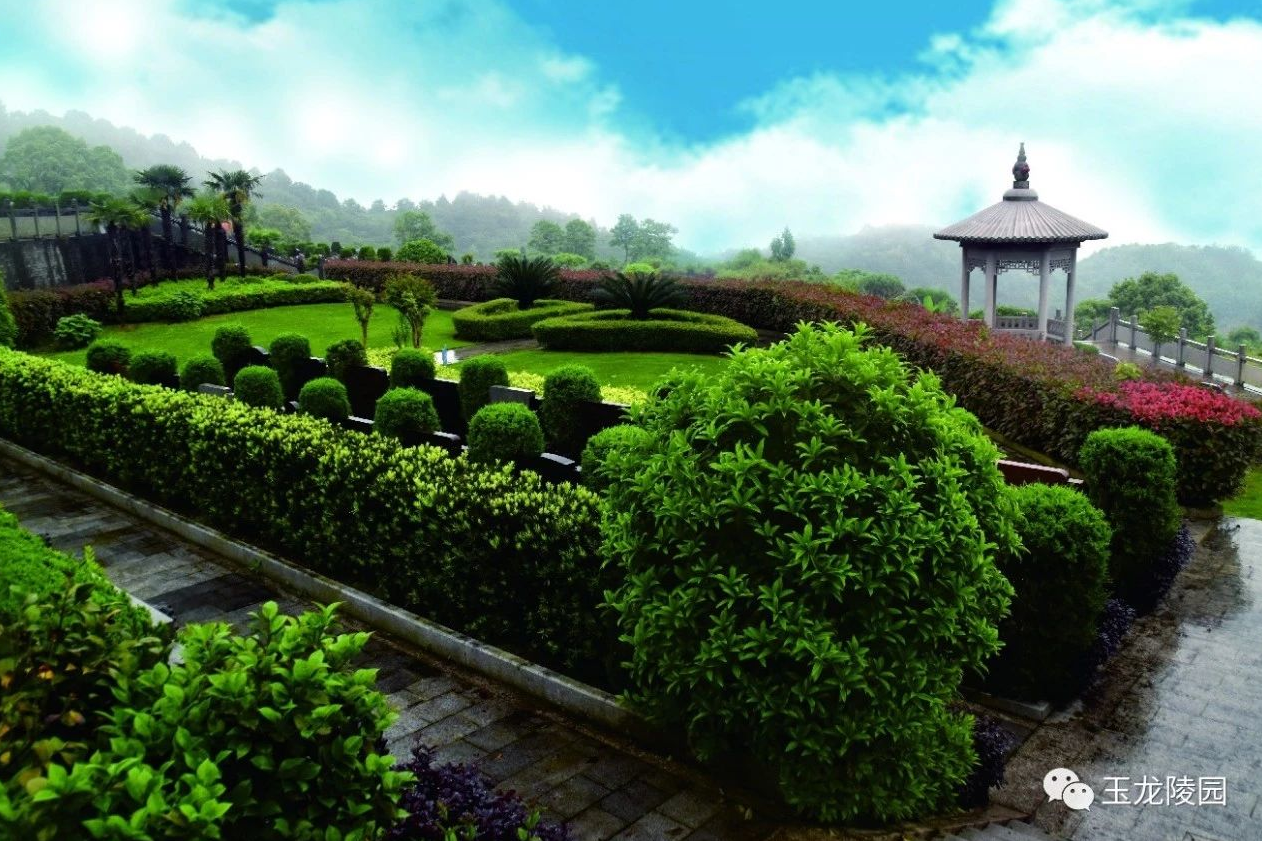 008PG国际(中国区)-官方网站