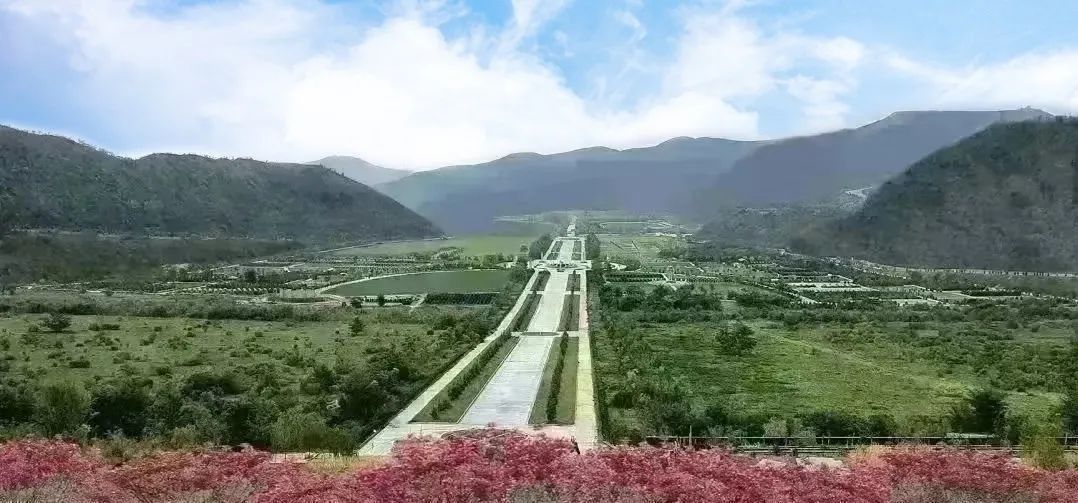 008PG国际(中国区)-官方网站