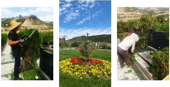 008PG国际(中国区)-官方网站