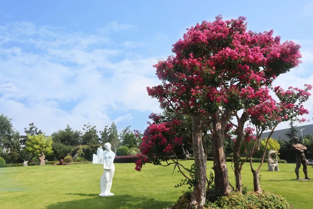 008PG国际(中国区)-官方网站