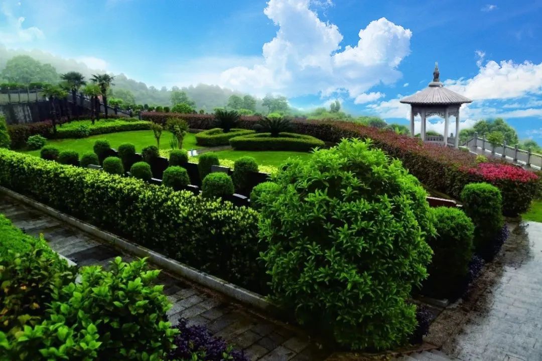 008PG国际(中国区)-官方网站