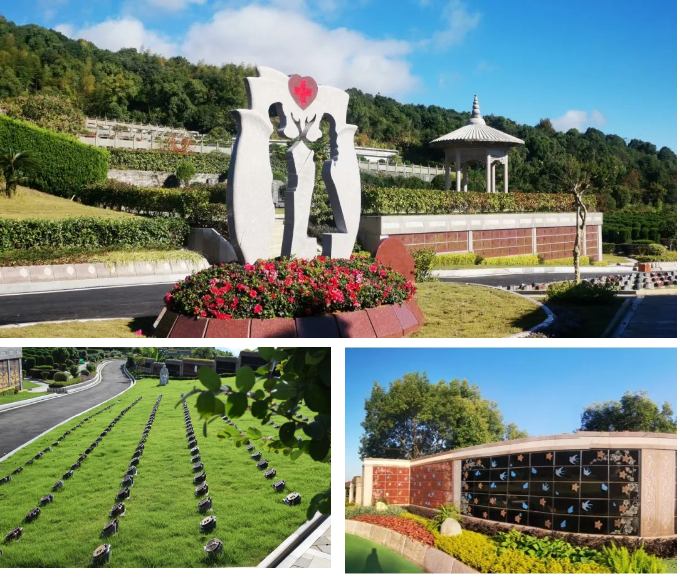 008PG国际(中国区)-官方网站