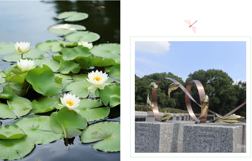 008PG国际(中国区)-官方网站