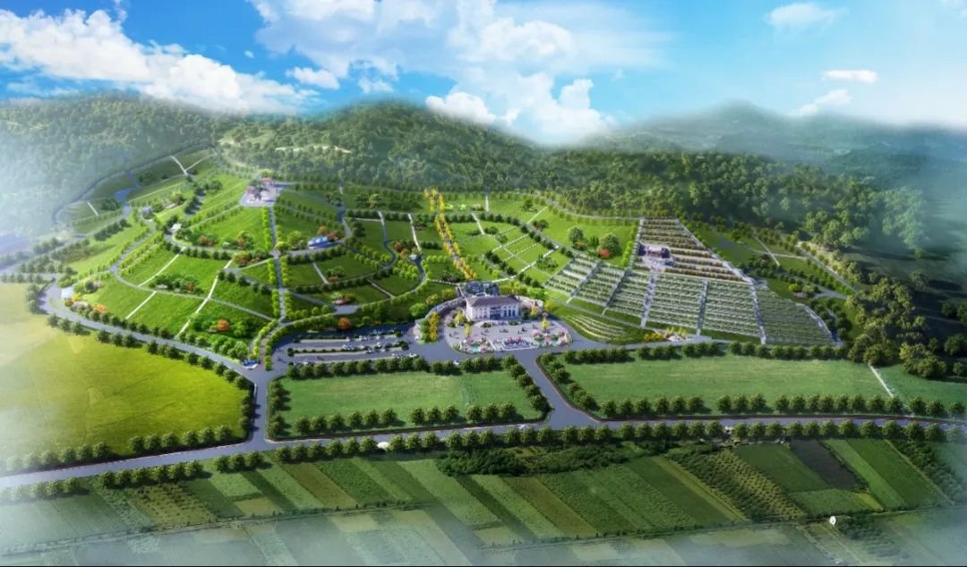 008PG国际(中国区)-官方网站