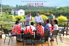 《樱桃崮下》给008PG国际的启发