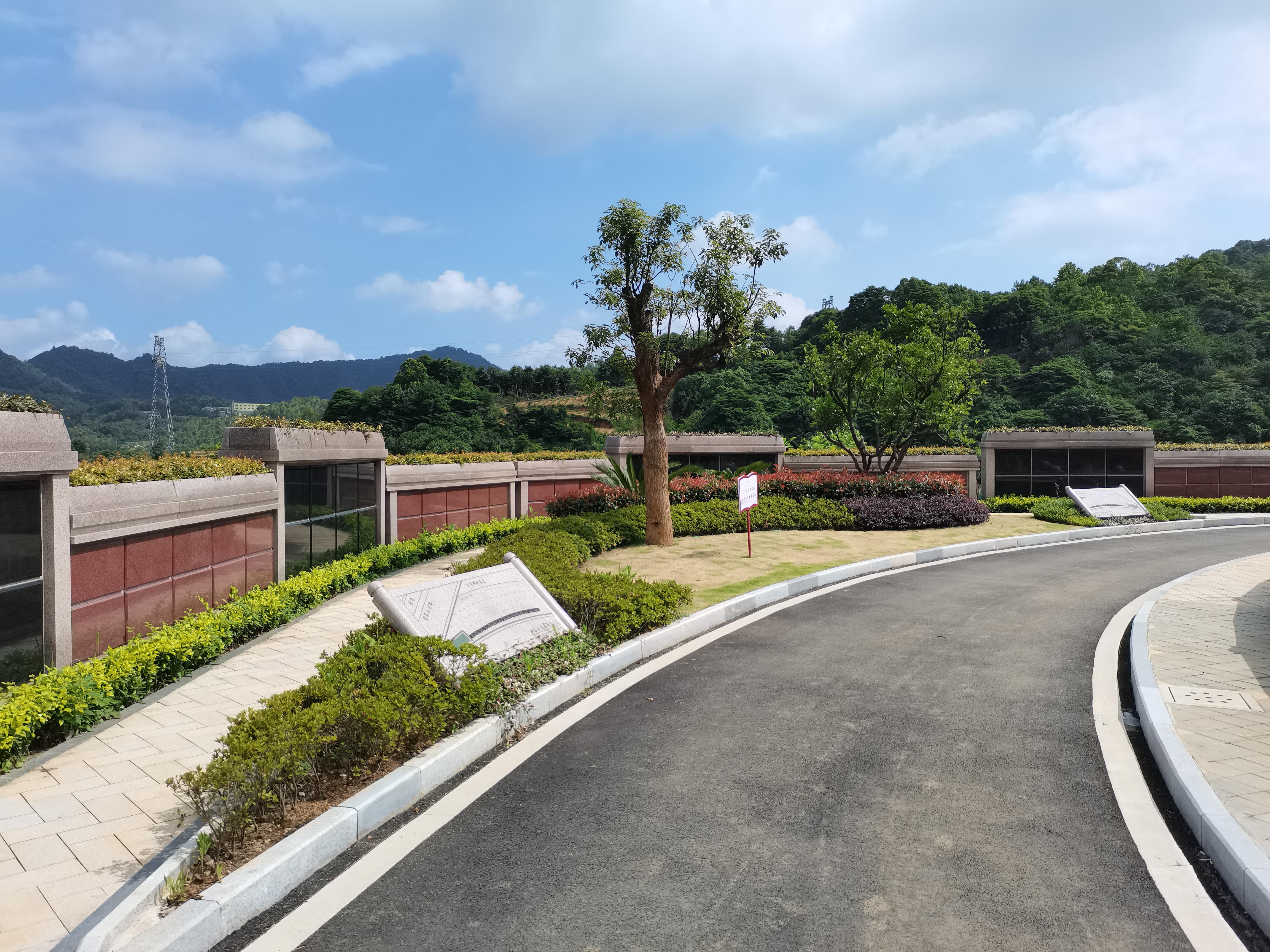 海葬和树葬哪个好？？？两种生态葬祭方式的选择与意义