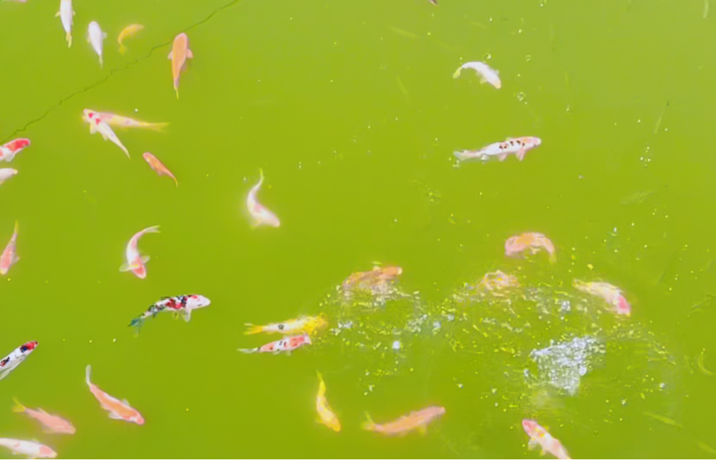 008PG国际(中国区)-官方网站