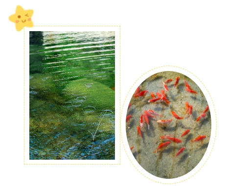 008PG国际(中国区)-官方网站