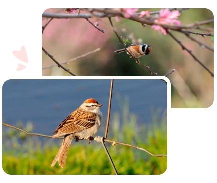 008PG国际(中国区)-官方网站