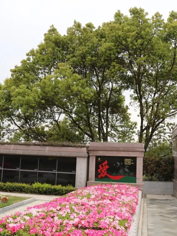 008PG国际(中国区)-官方网站