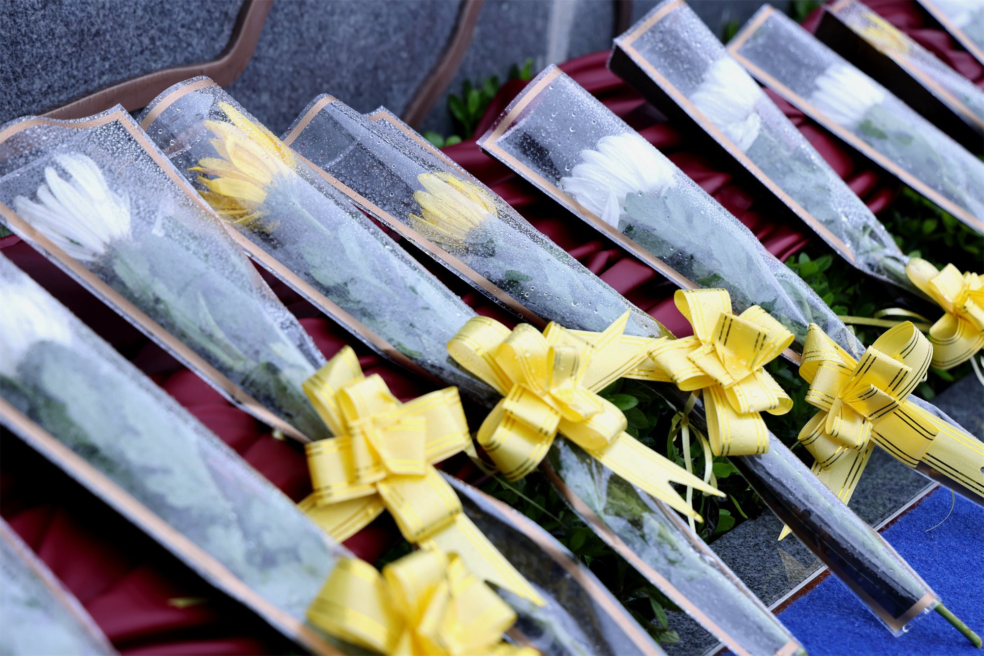 008PG国际(中国区)-官方网站