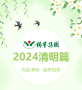 风起清明 遥寄相思|008PG国际集团?2024清明篇