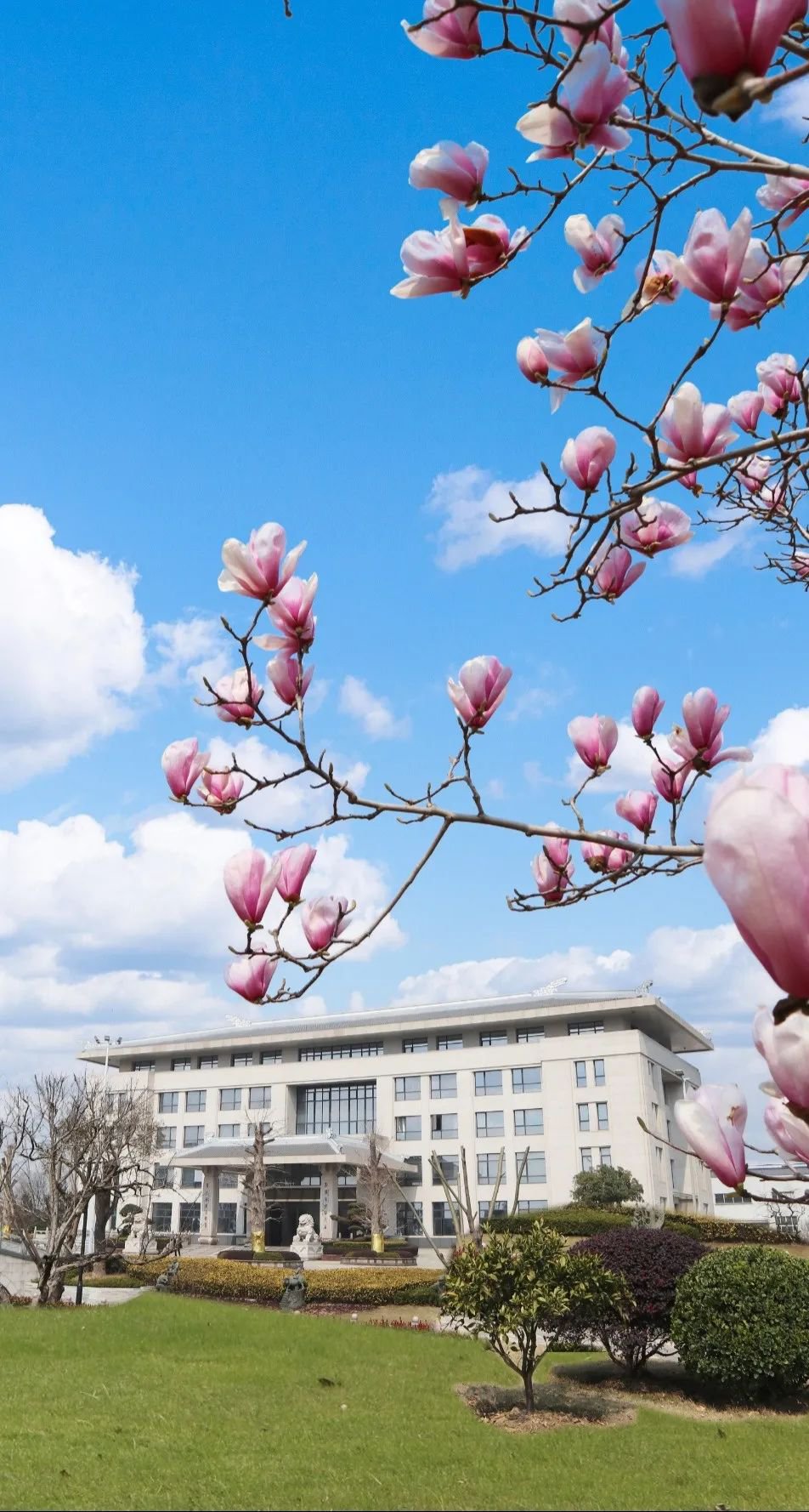 008PG国际(中国区)-官方网站