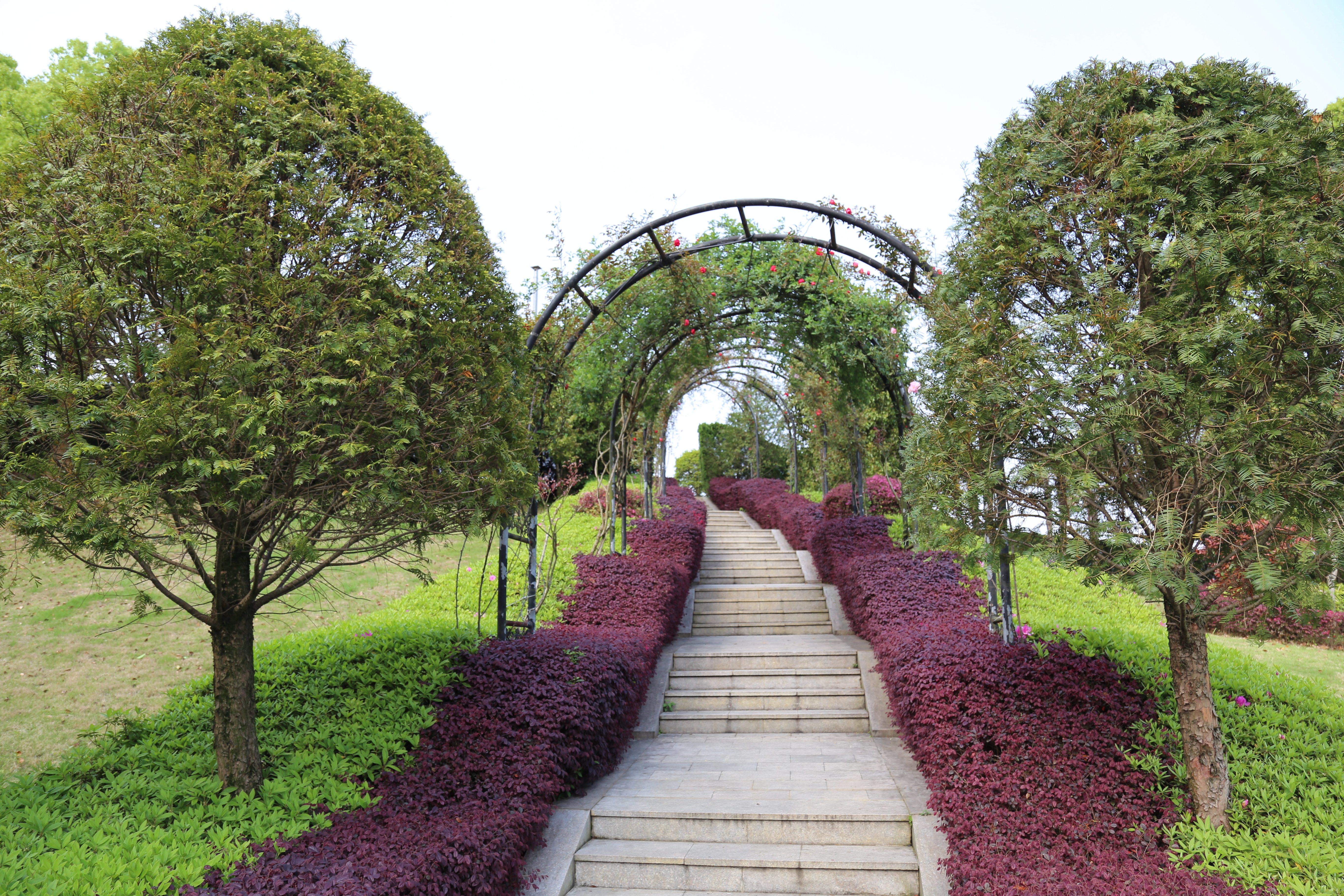 008PG国际(中国区)-官方网站